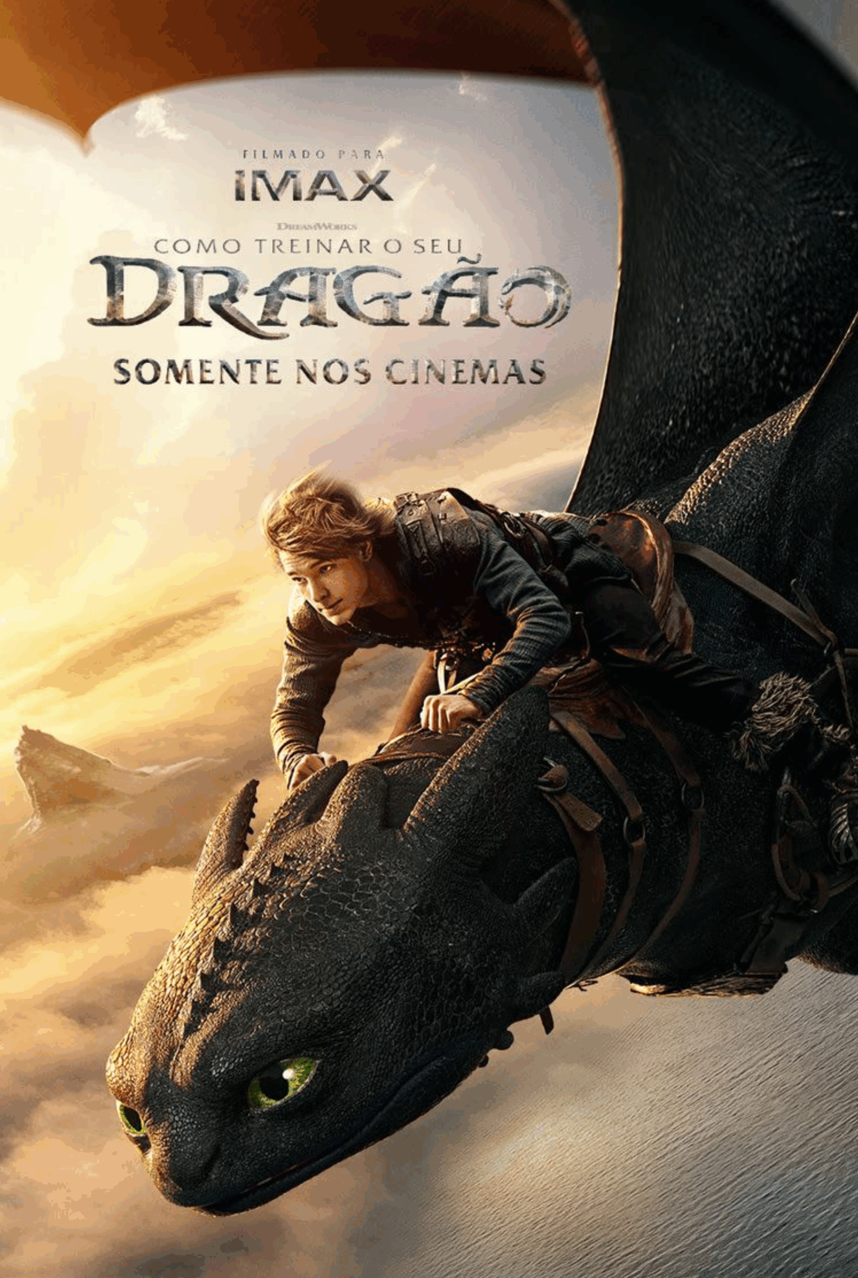 COMO TREINAR O SEU DRAGÃO
